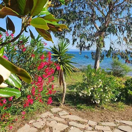 Wonderful Stone House Infront Of The Sea. Villa *